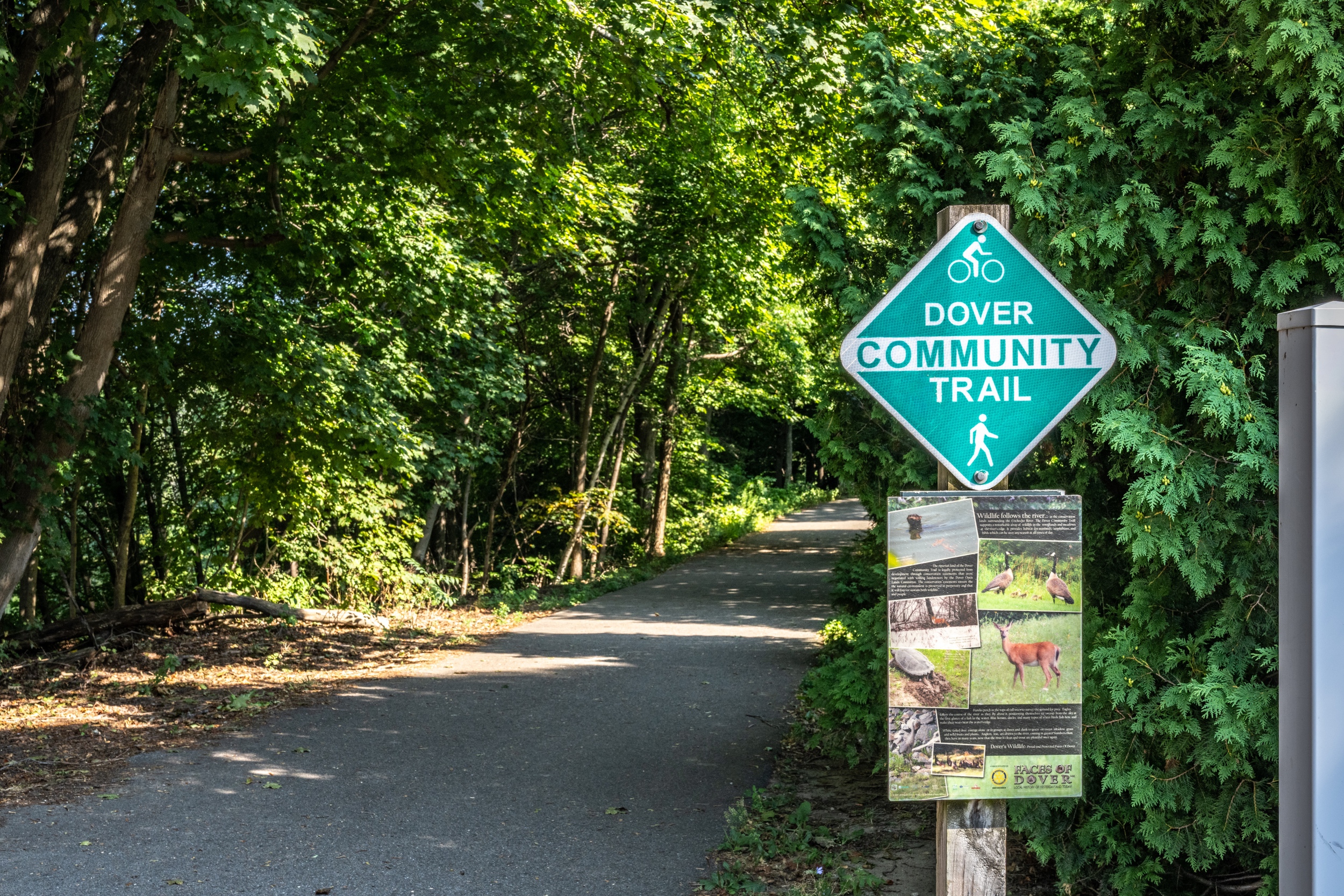 348 250817 Dover NH Lifestyle copy